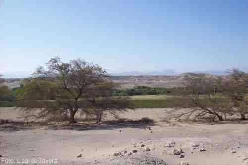 Cahuachi, Paisaje